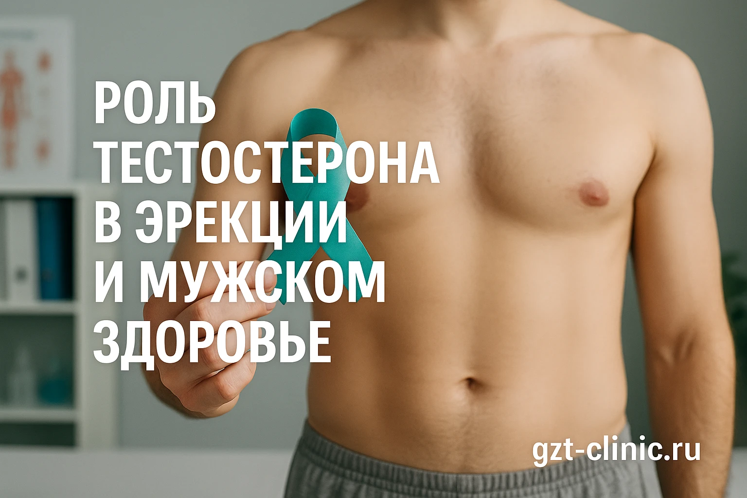 Роль тестостерона в эрекции: почему снижение гормона влияет на мужскую функцию
